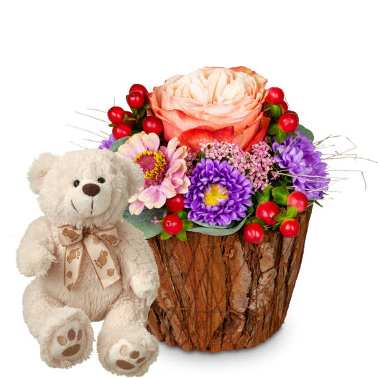 Little Surprise with teddy bear (Minimum)