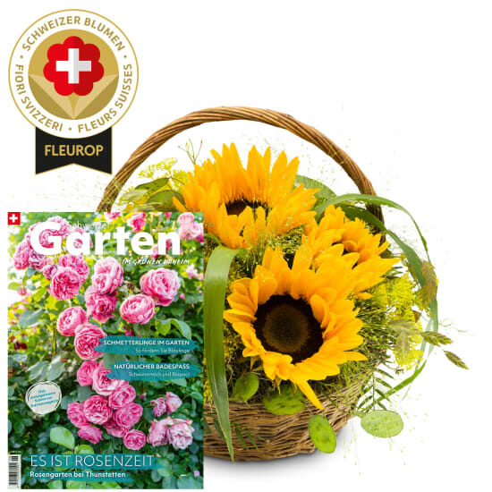 Sunflower arrangement with Swiss flowers and magazine «Schweizer Garten»