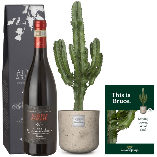This is Bruce (Euphorbia) with Amarone Albino Armani DOCG (75 cl)