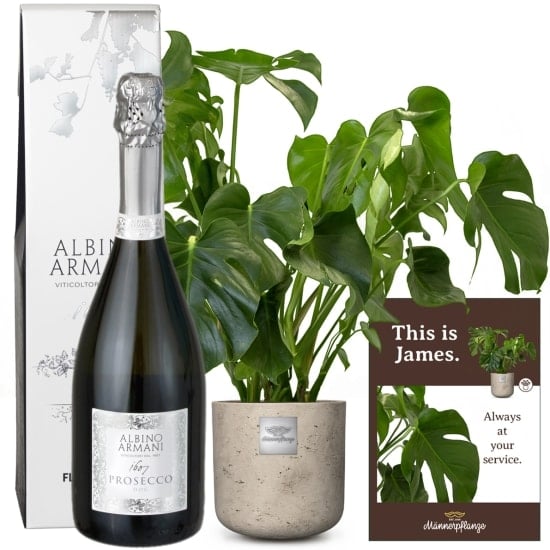 This is James (Monstera) with Prosecco Albino Armani DOC (75 cl)