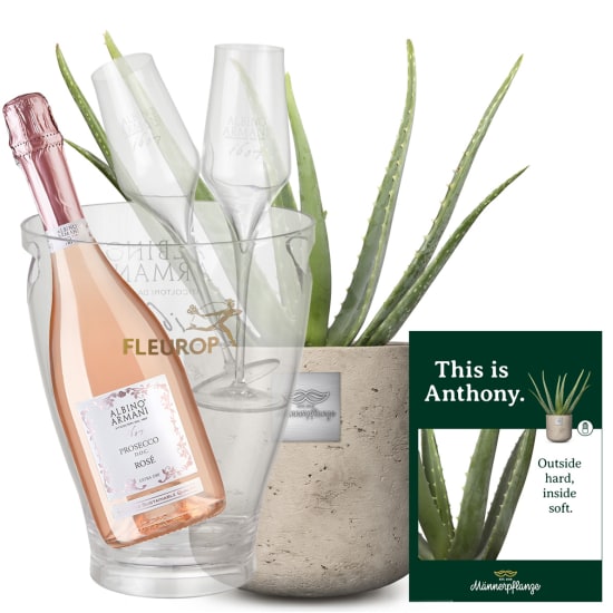 This is Anthony (Aloe vera) with Prosecco RosÃ© Albino Armani DOC (75 cl), incl. ice bucket and two sparkling wine flutes