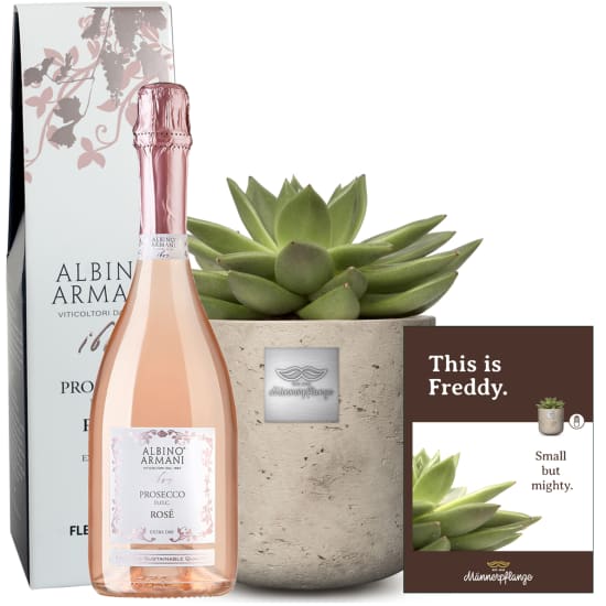 This is Freddy (Echeveria) with Prosecco RosÃ© Albino Armani DOC (75 cl)