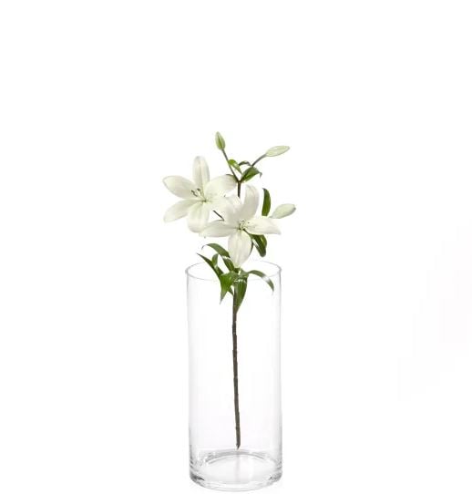 MyBouquet «10 White Lilies»