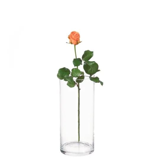 MyBouquet «Orange Roses»_x000D_