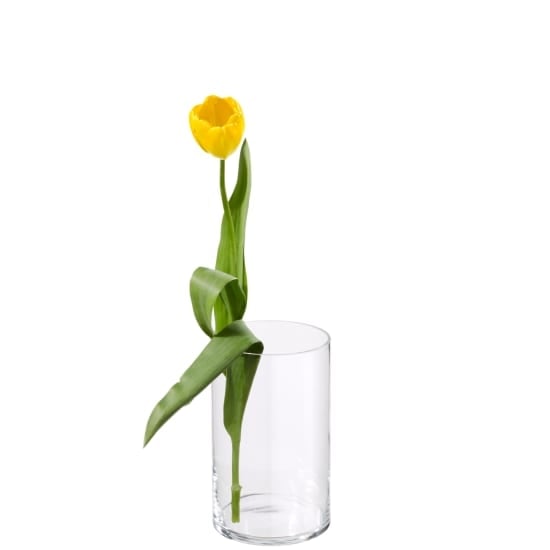 MyBouquet «15 Yellow Tulips»_x000D_
