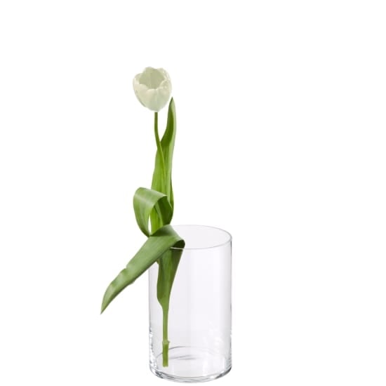 MyBouquet «15 White Tulips»