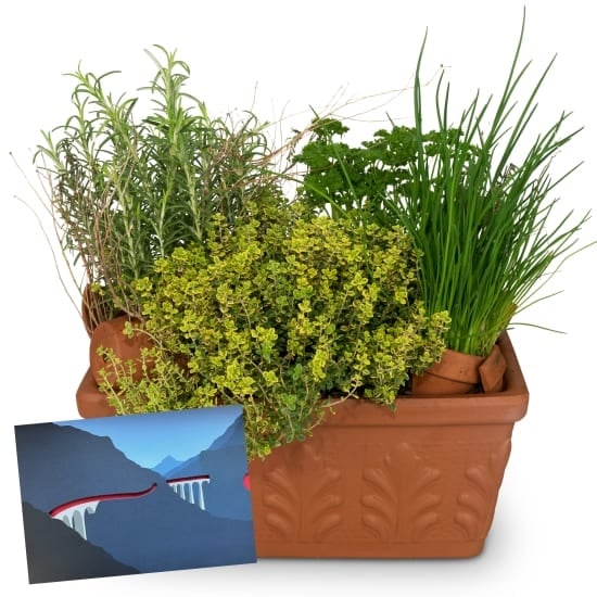 Herb Box with a CHF 50.- gift voucher from the Rhaetian Railway