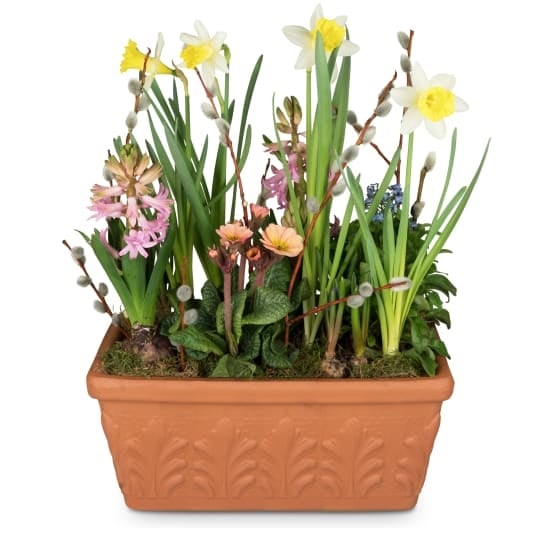 Cheerful Little Spring Garden