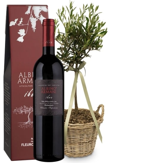 Olive tree «Summer Dream» with Ripasso Albino Armani DOC (75 cl)