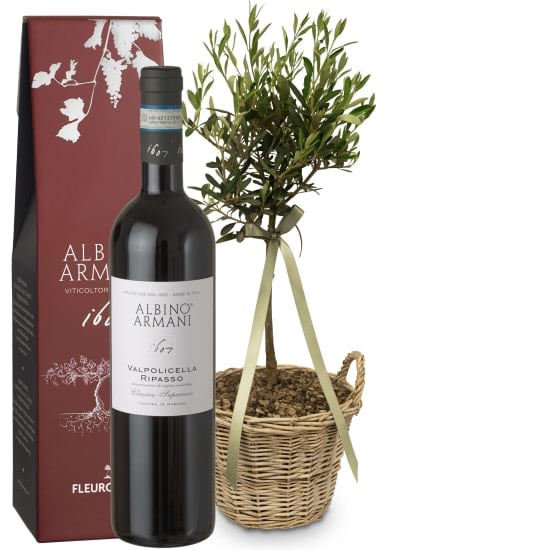 Summer Dream (miniature olive tree) with Ripasso Albino Armani DOC (75 cl)