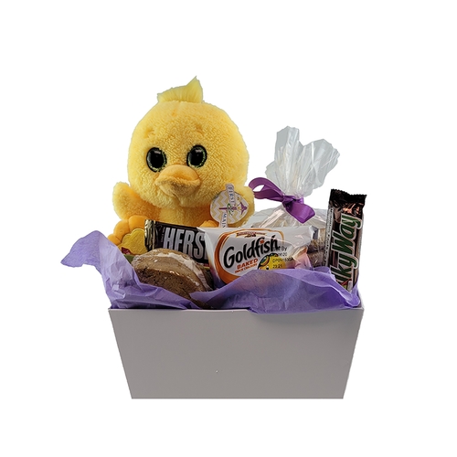 Easter Chicky Cookie Snack Pack