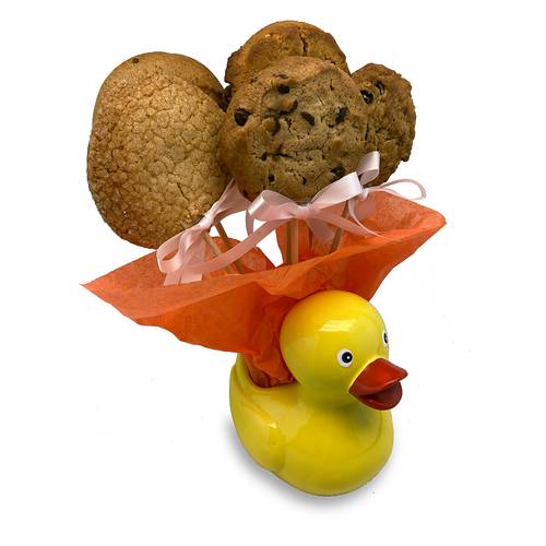 Ducky Gift Gluten Free Cookie Planter