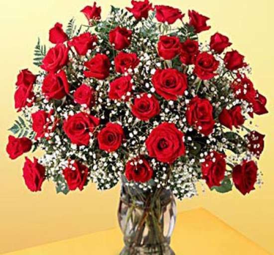 3 Dozen Roses Arranged in Vase