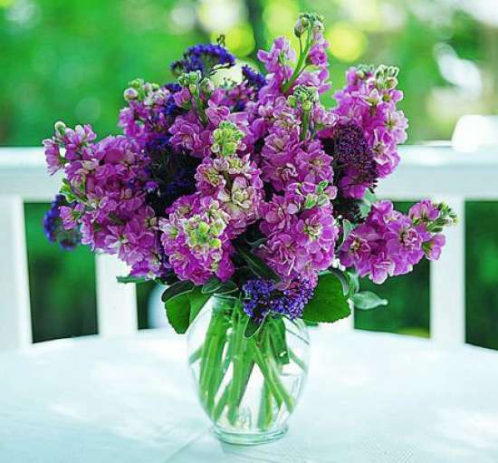 Stock Vase - 1
