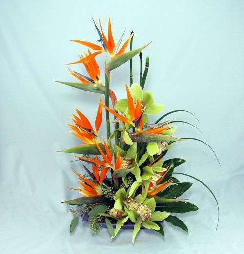 Paradise Blooms (Medium)