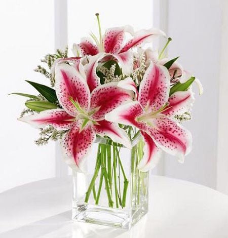 Pretty Pink Lilies (Standard)