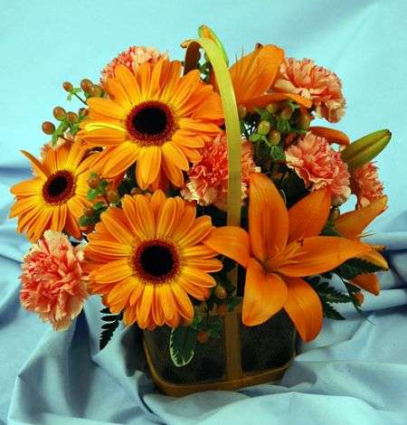 Radiant Basket