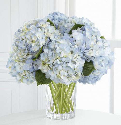 Joyful Inspirations Bouquet by Vera Wang