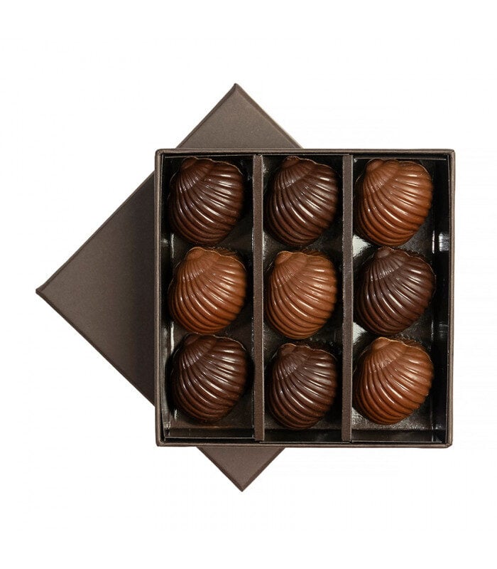 Praline snails