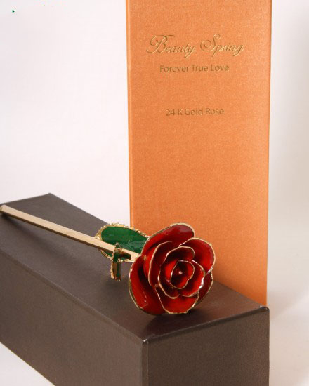 Golden Rose