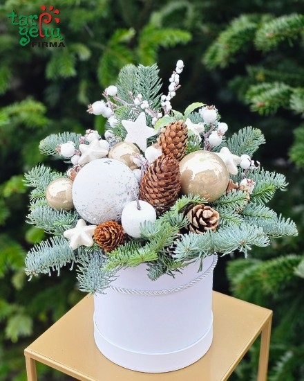 Silver winter (Small)