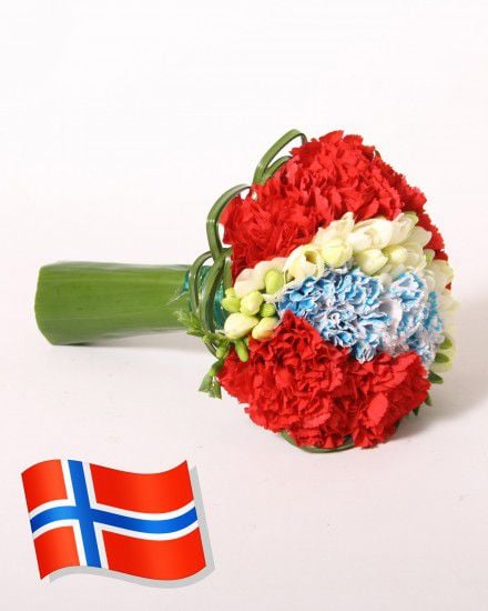 Regards from Norway (Medium)