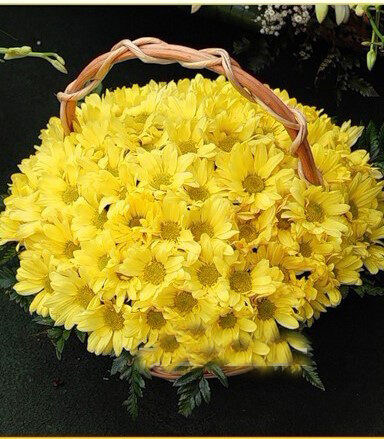Flower Basket "Yellow Chrysanthemums"