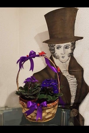 Violet Plants Basket Violets And Butterflies