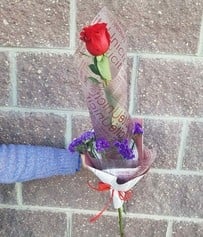 A red rose in a designer package