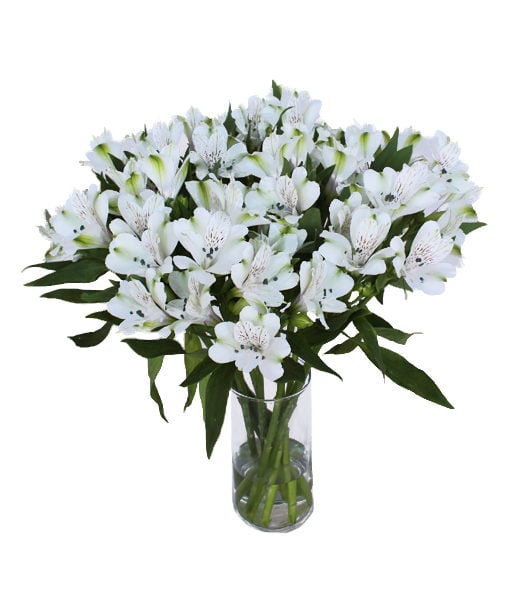 White Alstroemeria Bouquet With Vase