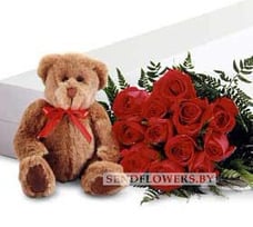 Red Long Stem Roses with a Teddy Bear