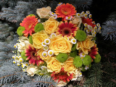 Bouquet of Flowers Rainbow