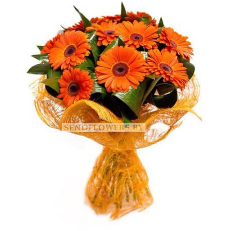 Hand-tied Bouquet of 15 orange gerberas