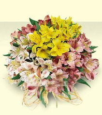 Bouquet Of Multi-Colored Alstroemeria Fairy Dream