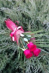 Bouquet of Flowers - 3