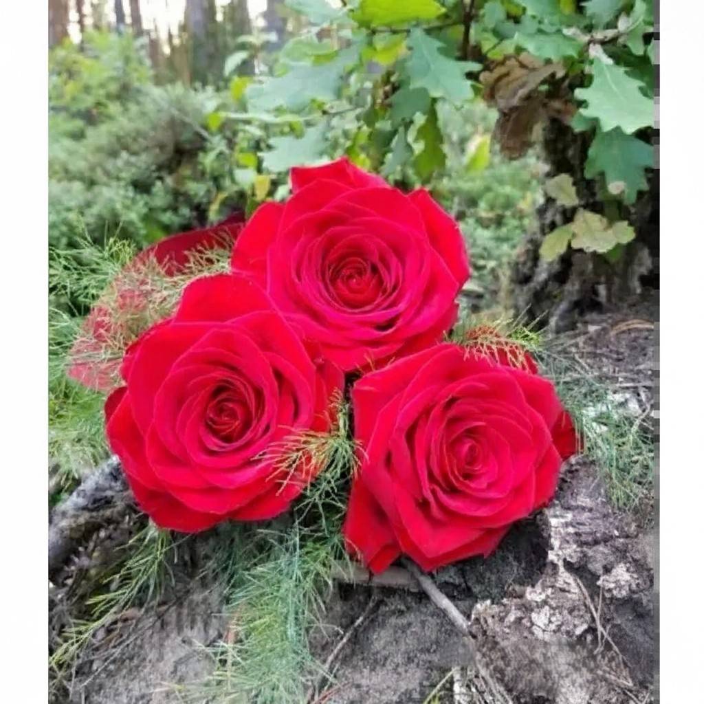 Bouquet of Flowers "3 Red Roses"