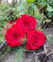 Bouquet Of Flowers 3 Red Roses