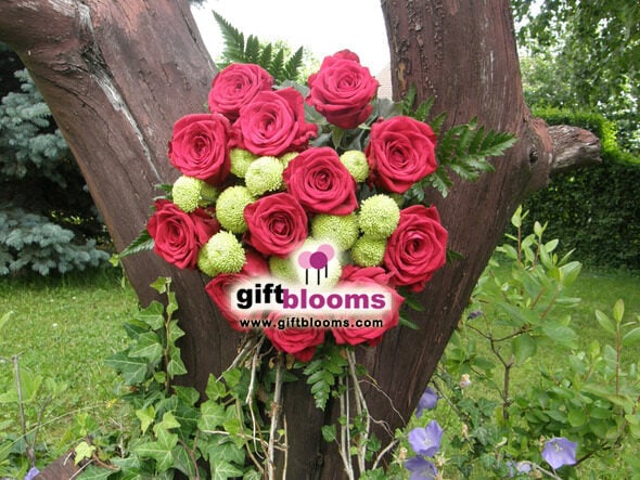 Bouquet of 11 Red Roses Exquisite Choice
