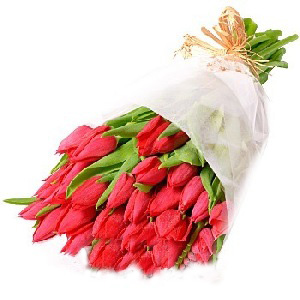 Bouquet of 39 Red Tulips