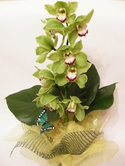 Bouquet of flowers - 6