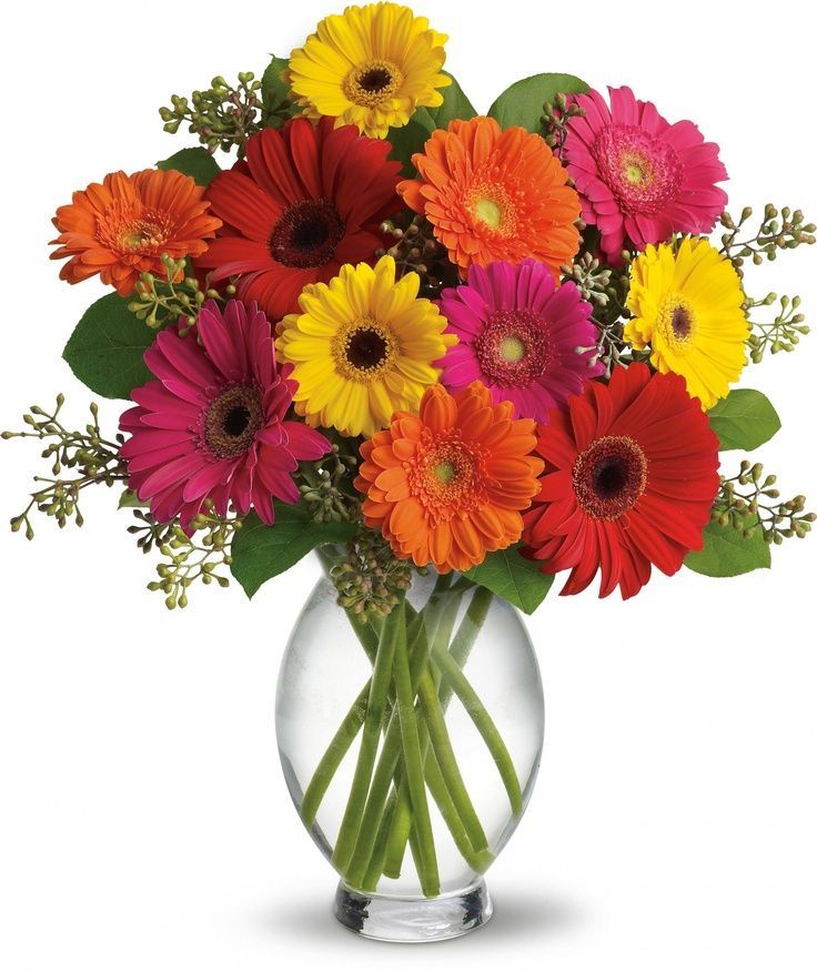 Bouquet of Flowers Gerbera Brights