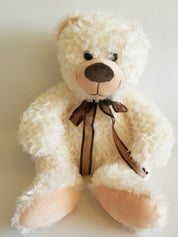 Teddy Bear Pavlusha