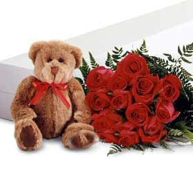 Red Long Stem Roses with a Teddy Bear
