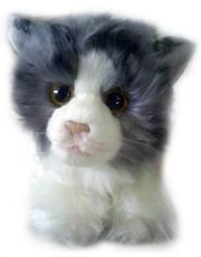 Soft toy 2