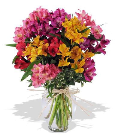 Many-Colored Alstroemeria Bouquet Salute