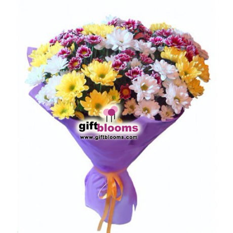 Bouquet of 15 Chrysanthemums Passion