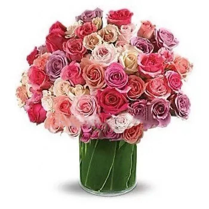 Bouquet of 51 Multy-colored Roses "Admiration"