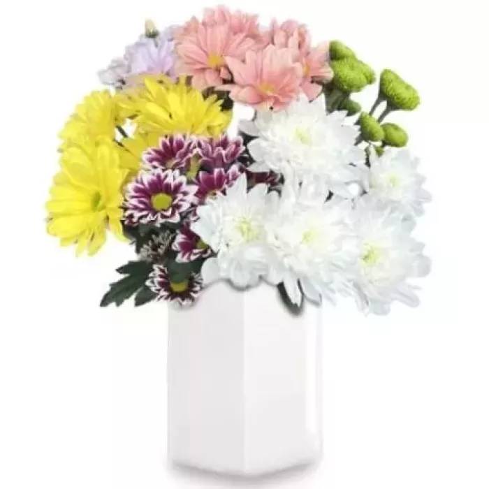 Bouquet of 7 multicolored chrysanthemums