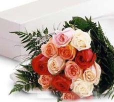 Mixed color roses -1