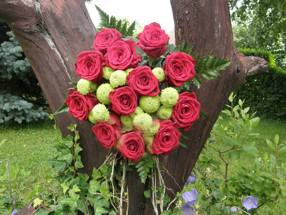 Round bouquet of 11 red roses